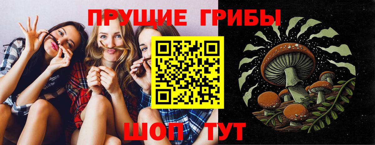 Галлюциногенные грибы MAGIC MUSHROOMS  Вход с VPN  наркошоп  Приморско-Ахтарск 